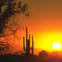 Sonnenuntergang in der Wüste