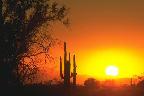 Sonnenuntergang in der Wüste
