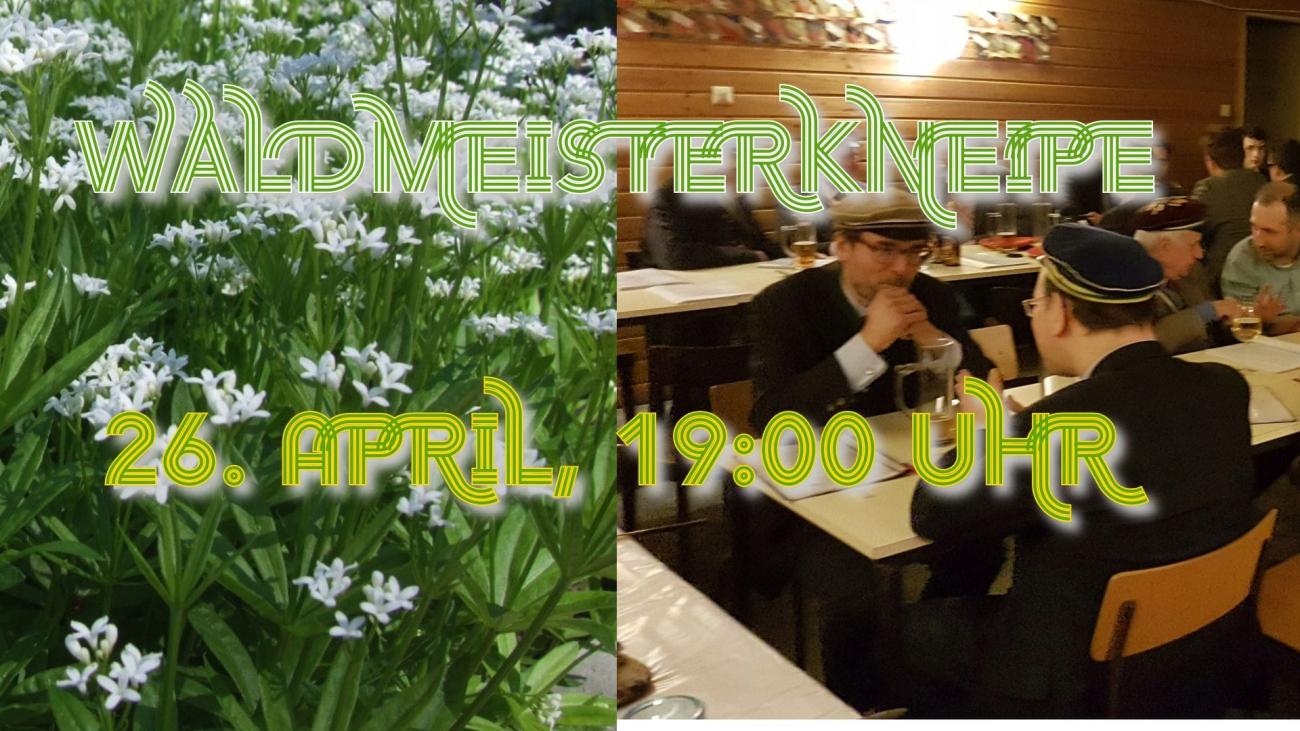 Waldmeisterkneipe, Collage links blühender Waldmeister, rechts die Kneipcorona